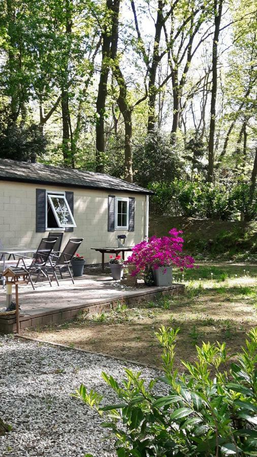 Vila Chalet Gem Wageningen Exteriér fotografie